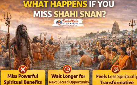 What Happens If You Miss Shahi Snan